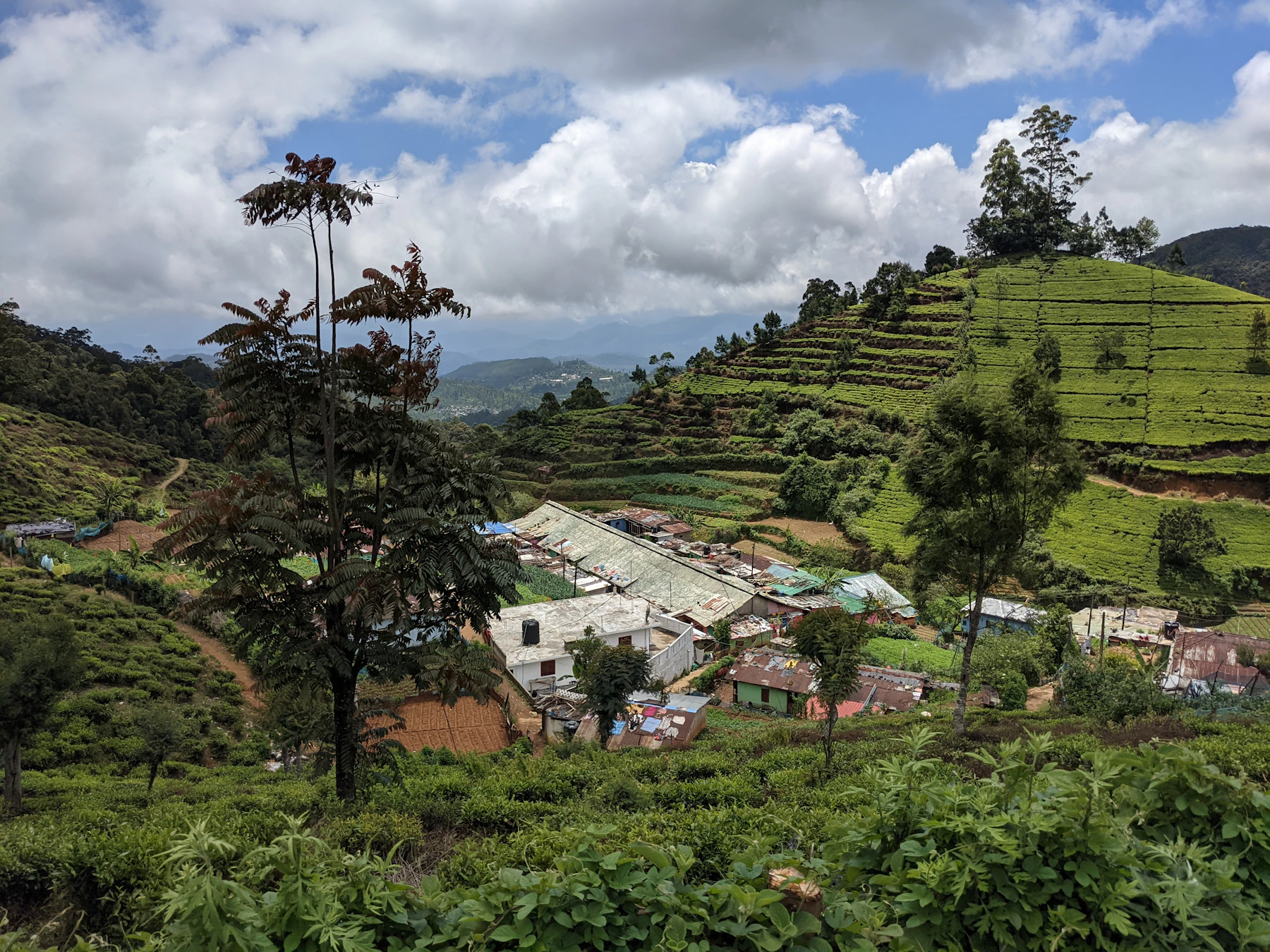 A village in Sri Lankan tea country